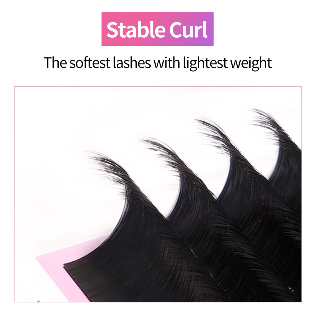 Individual lash fans stable curl