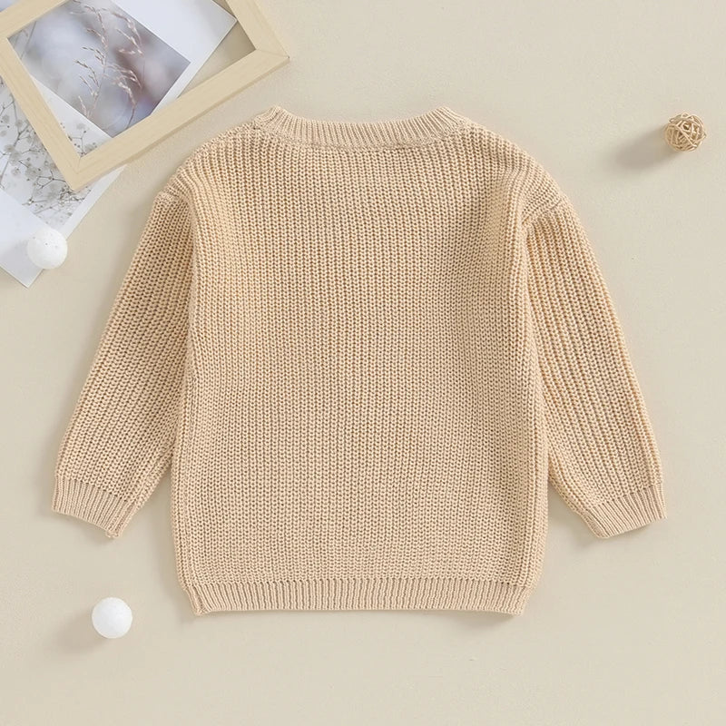 2023-09-18 Lioraitiin 12M-5Y Winter Newborn Kids Boys Sweaters Cotton Long Sleeve Letter Embroidery Pullover Loose Knitwear Tops