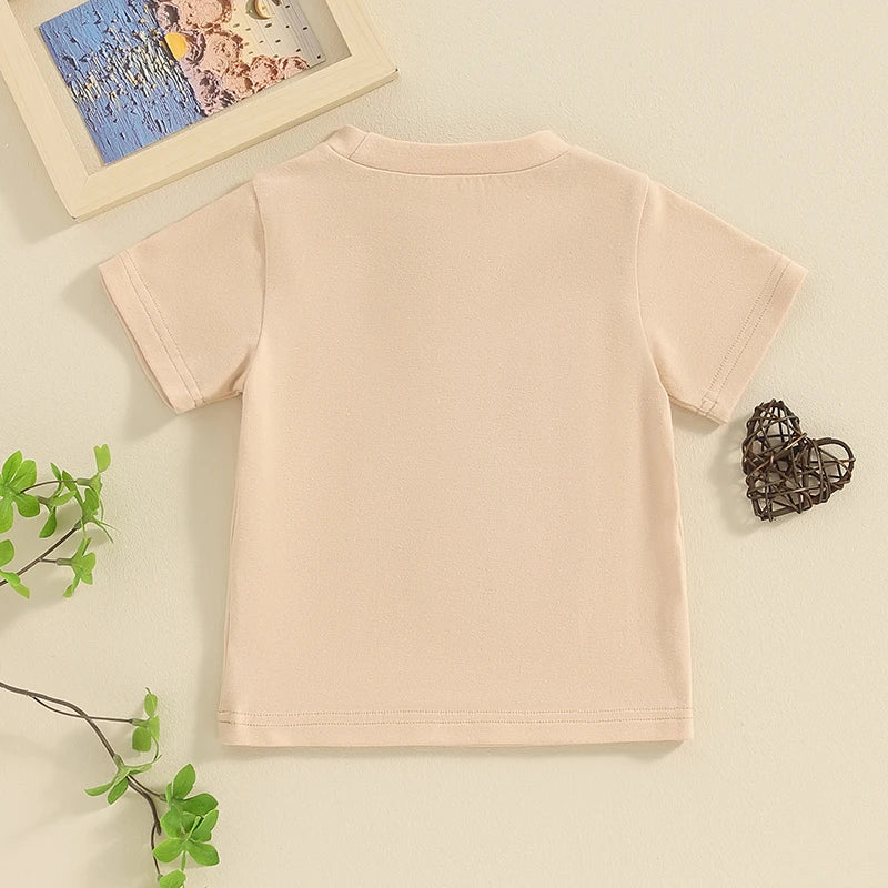 2024-01-11 Lioraitiin Summer Toddler Baby Boy T-Shirts Rompers BIG BRO Fuzzy Embroidered Letter Crewneck Short Sleeve Tops