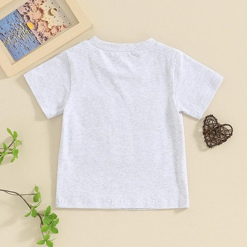 2024-01-11 Lioraitiin Summer Toddler Baby Boy T-Shirts Rompers BIG BRO Fuzzy Embroidered Letter Crewneck Short Sleeve Tops