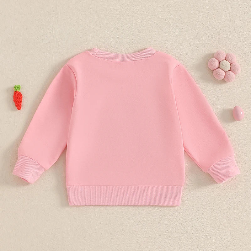 2024-11-29 Lioraitiin Toddler Girls Boys Sweatshirts Easter Clothes Rabbit Embroidered Long Sleeve Baby Pullovers Spring Clothes